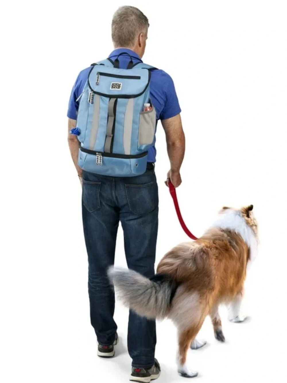 Dog gear this pet